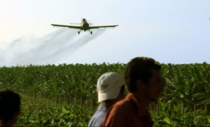 This still image taken from the documentary "Bananas!" provided by WG Film shows a crop dusting plane spraying pesticide on a field of produce. (AP Photo/WG Film)